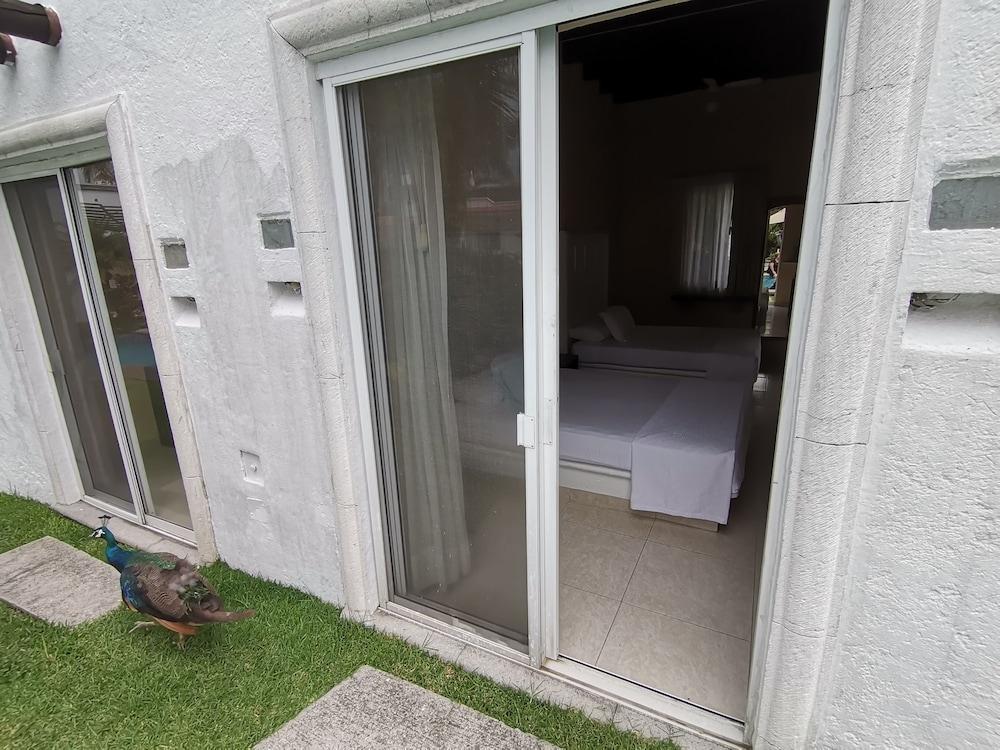 Hotel Canarios Cuernavaca Buitenkant foto